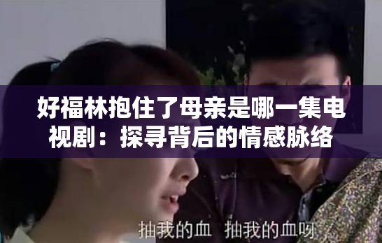 好福林抱住了母亲是哪一集电视剧：探寻背后的情感脉络