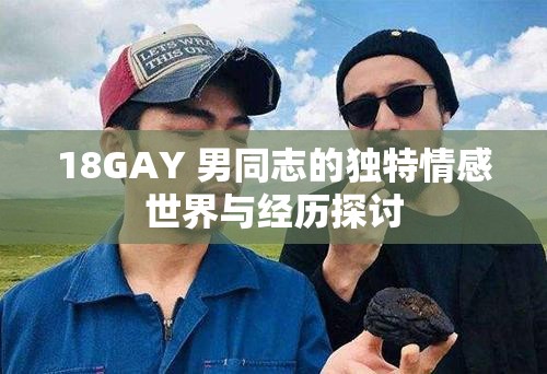 18GAY 男同志的独特情感世界与经历探讨