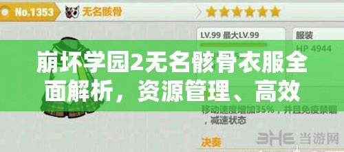 崩坏学园2无名骸骨衣服全面解析，资源管理、高效利用策略及防浪费攻略