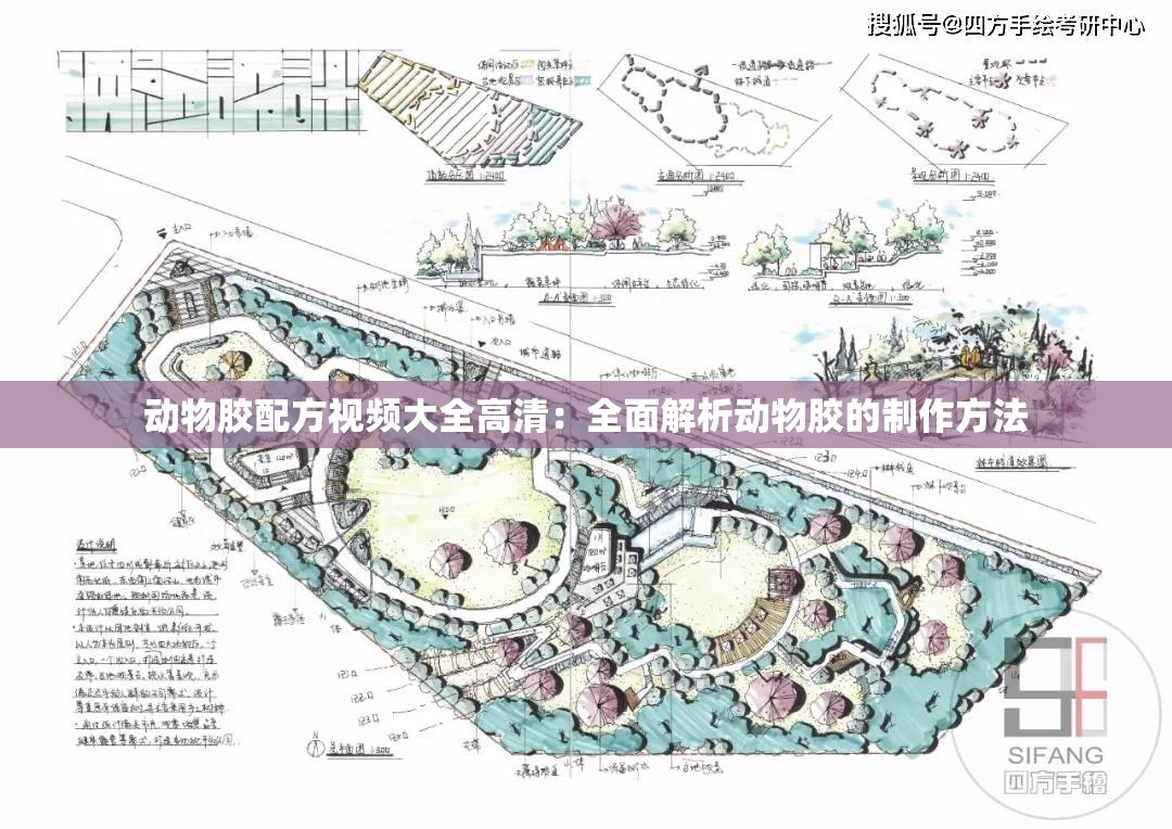 动物胶配方视频大全高清：全面解析动物胶的制作方法