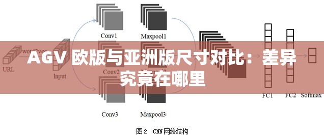 AGV 欧版与亚洲版尺寸对比：差异究竟在哪里