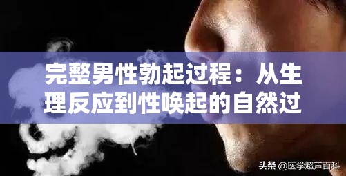 完整男性勃起过程：从生理反应到性唤起的自然过程