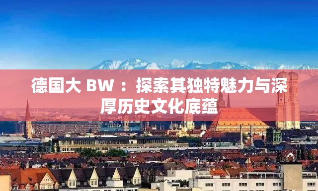 德国大 BW ：探索其独特魅力与深厚历史文化底蕴