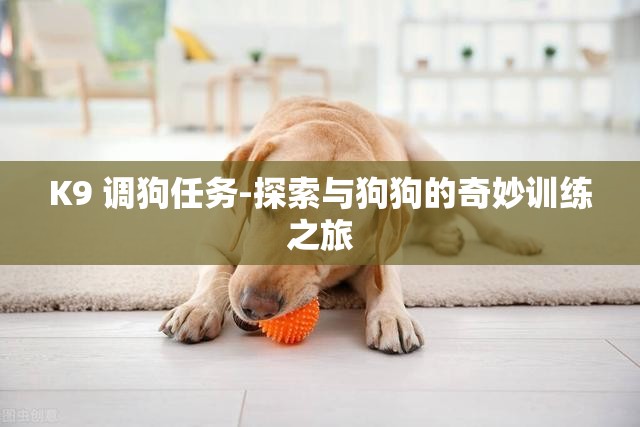 K9 调狗任务-探索与狗狗的奇妙训练之旅