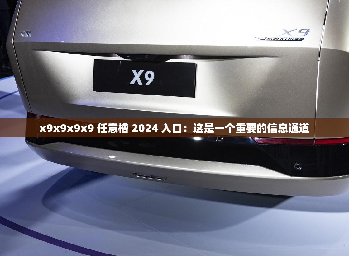 x9x9x9x9 任意槽 2024 入口：这是一个重要的信息通道