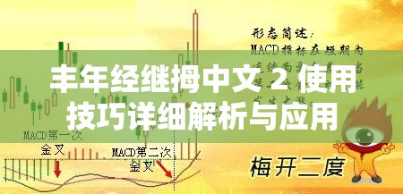 丰年经继拇中文 2 使用技巧详细解析与应用