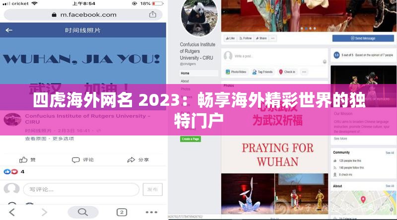 四虎海外网名 2023：畅享海外精彩世界的独特门户