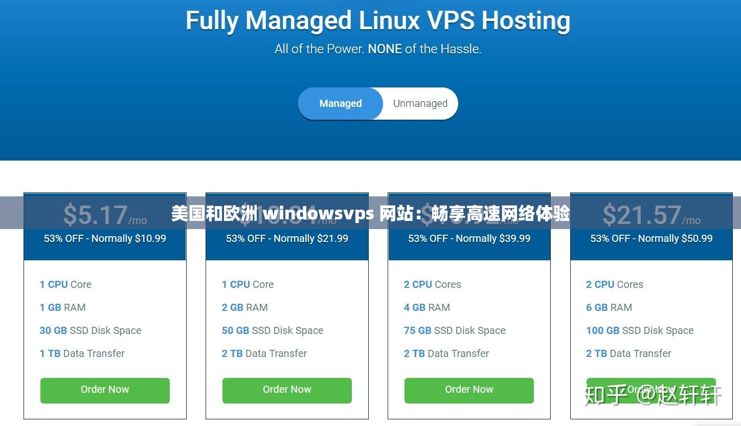 美国和欧洲 windowsvps 网站：畅享高速网络体验