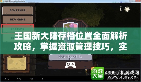 王国新大陆存档位置全面解析攻略，掌握资源管理技巧，实现高效利用并避免浪费