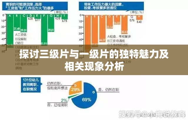 探讨三级片与一级片的独特魅力及相关现象分析