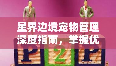 星界边境宠物管理深度指南，掌握优雅放手与高效养育的秘诀