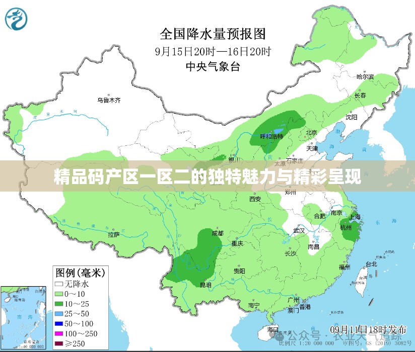 精品码产区一区二的独特魅力与精彩呈现