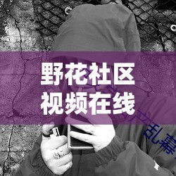 野花社区视频在线：畅享精彩多样的在线视频资源