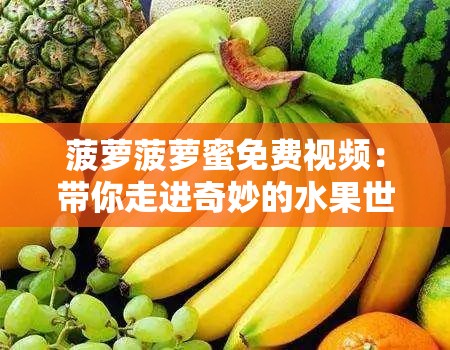 菠萝菠萝蜜免费视频：带你走进奇妙的水果世界