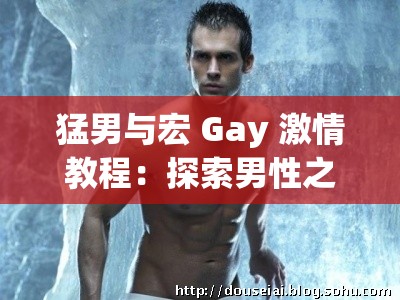 猛男与宏 Gay 激情教程：探索男性之间的亲密时刻