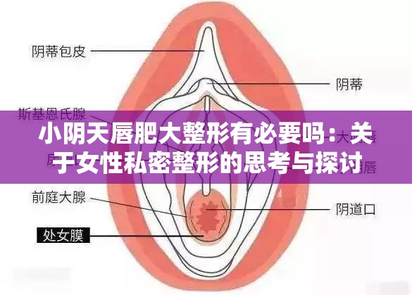 小阴天唇肥大整形有必要吗：关于女性私密整形的思考与探讨