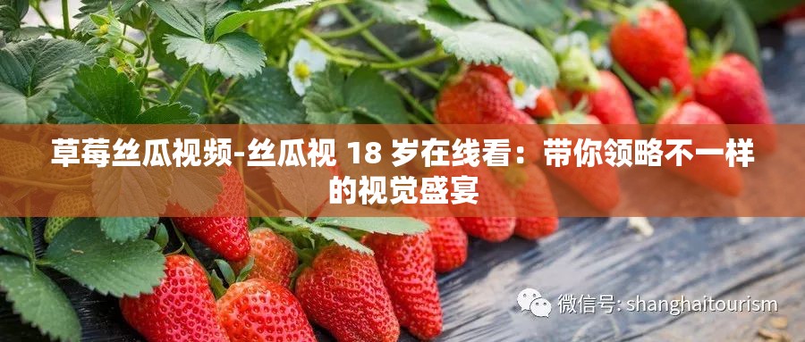 草莓丝瓜视频-丝瓜视 18 岁在线看：带你领略不一样的视觉盛宴