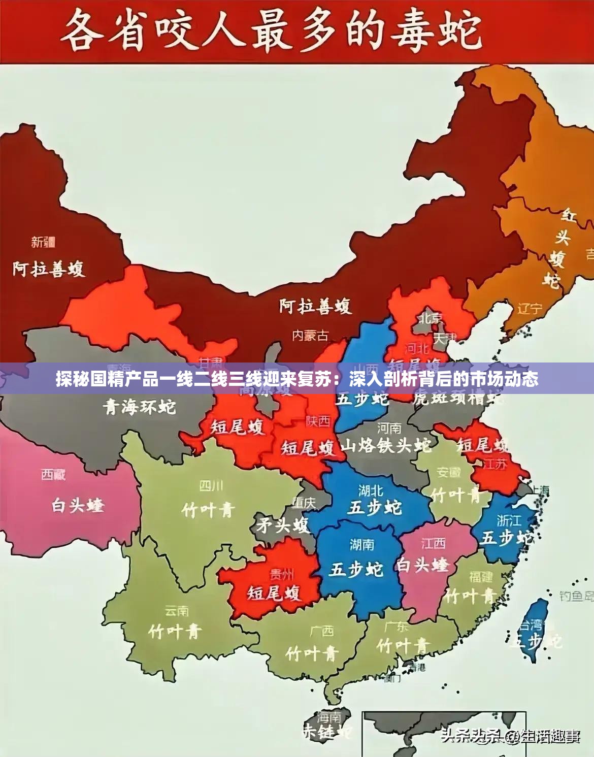 探秘国精产品一线二线三线迎来复苏：深入剖析背后的市场动态