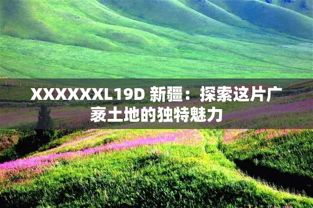 XXXXXXL19D 新疆：探索这片广袤土地的独特魅力