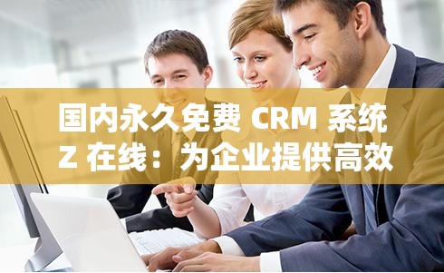 国内永久免费 CRM 系统 Z 在线：为企业提供高效便捷的客户管理解决方案