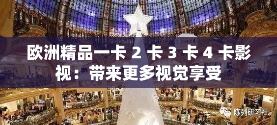 欧洲精品一卡 2 卡 3 卡 4 卡影视：带来更多视觉享受