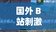 国外 B 站刺激战场直播视频：极致战场对决精彩呈现