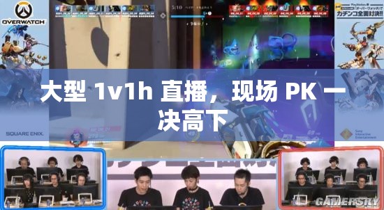 大型 1v1h 直播，现场 PK 一决高下