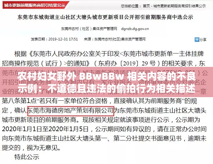 农村妇女野外 BBwBBw 相关内容的不良示例：不道德且违法的偷拍行为相关描述