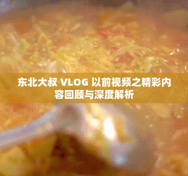 东北大叔 VLOG 以前视频之精彩内容回顾与深度解析