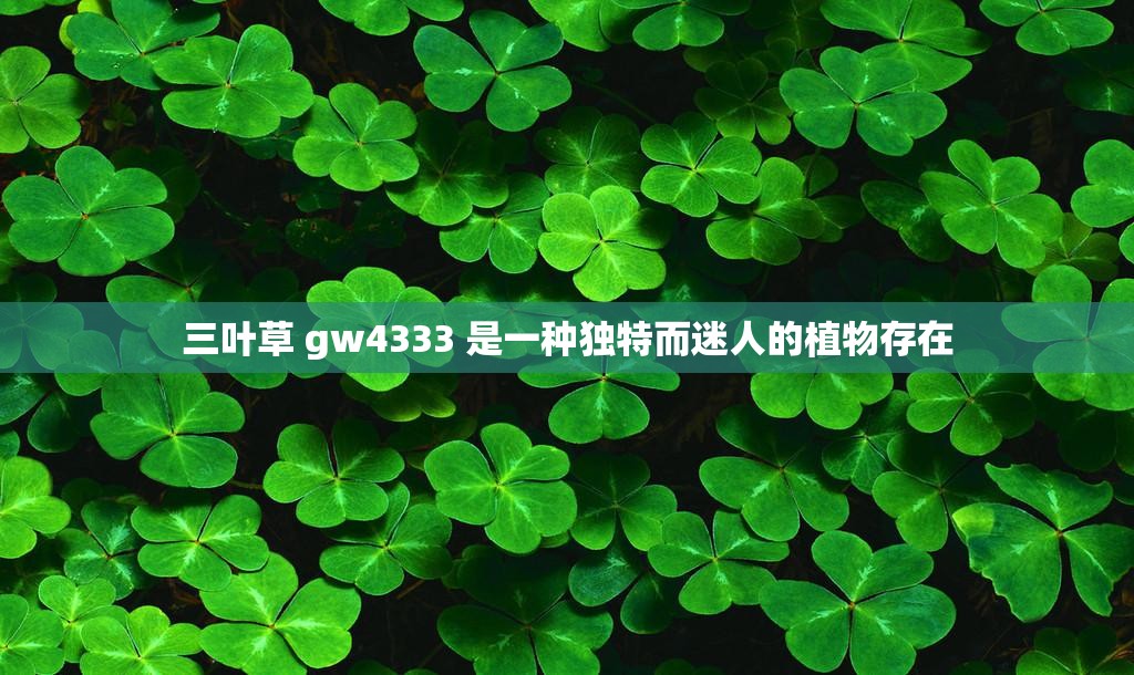 三叶草 gw4333 是一种独特而迷人的植物存在