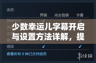 少数幸运儿字幕开启与设置方法详解，提升游戏体验及资源管理效率技巧