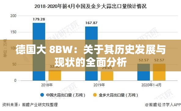 德国大 8BW：关于其历史发展与现状的全面分析