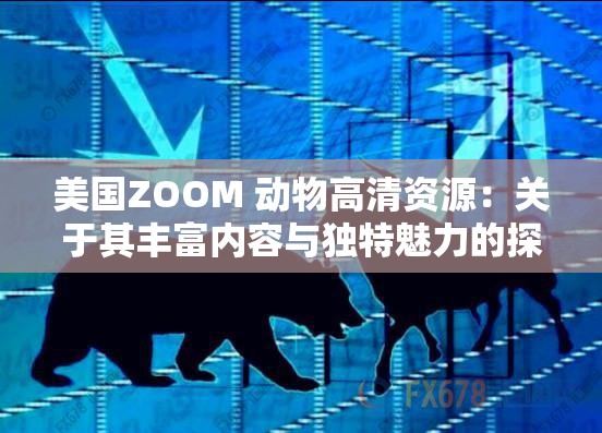 美国ZOOM 动物高清资源：关于其丰富内容与独特魅力的探讨