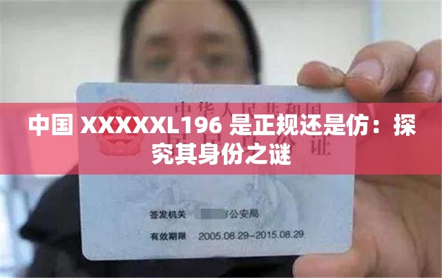 中国 XXXXXL196 是正规还是仿：探究其身份之谜