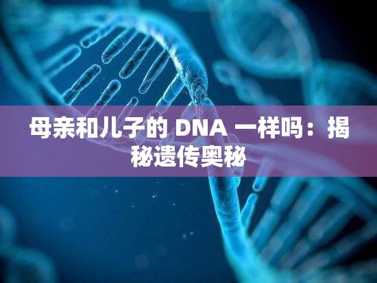 母亲和儿子的 DNA 一样吗：揭秘遗传奥秘