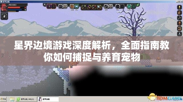 星界边境游戏深度解析，全面指南教你如何捕捉与养育宠物