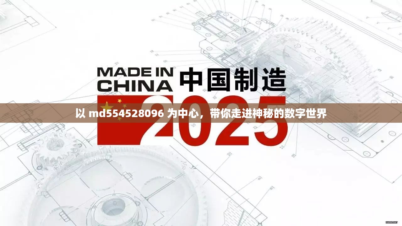 以 md554528096 为中心，带你走进神秘的数字世界