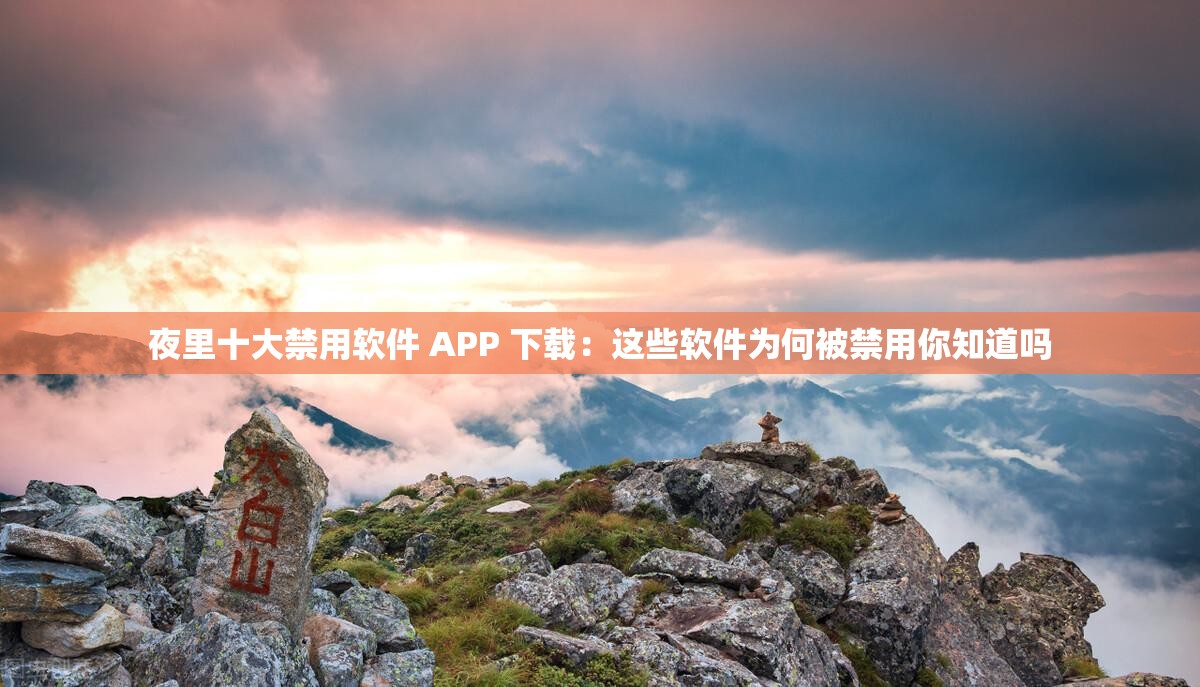 夜里十大禁用软件 APP 下载：这些软件为何被禁用你知道吗