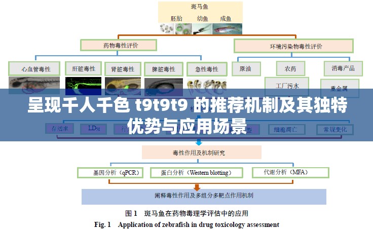 呈现千人千色 t9t9t9 的推荐机制及其独特优势与应用场景