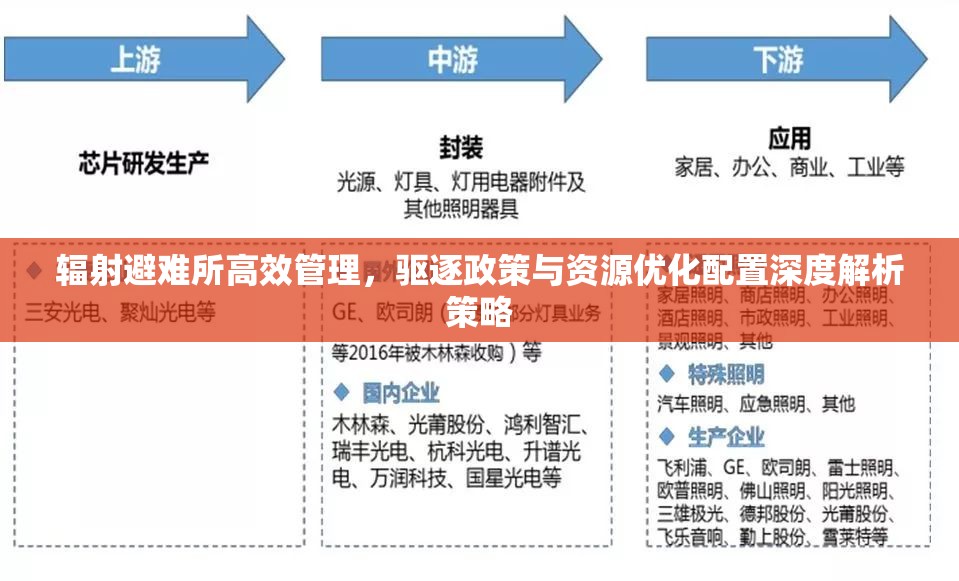 辐射避难所高效管理，驱逐政策与资源优化配置深度解析策略