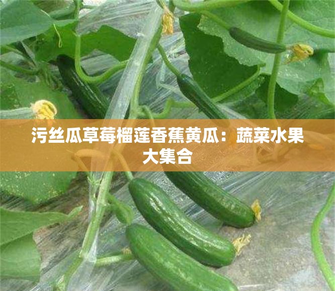 污丝瓜草莓榴莲香蕉黄瓜：蔬菜水果大集合