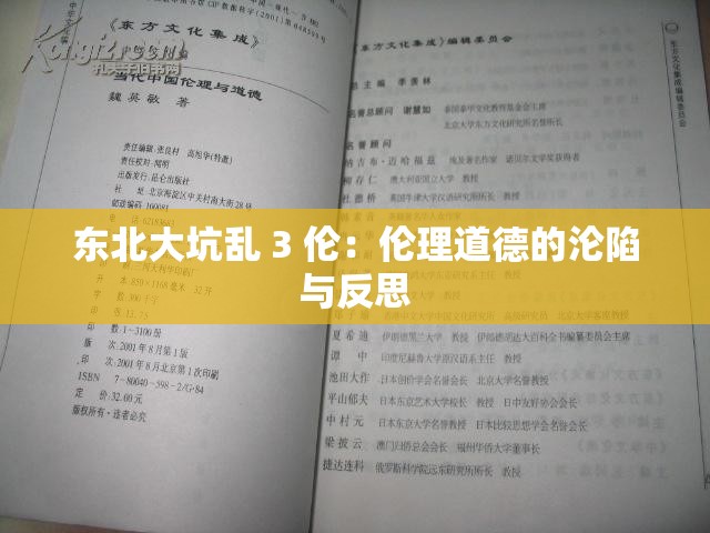 东北大坑乱 3 伦：伦理道德的沦陷与反思