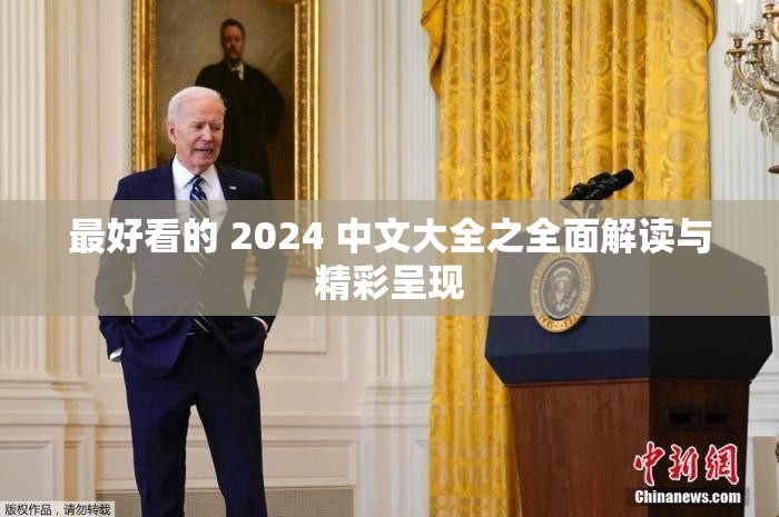 最好看的 2024 中文大全之全面解读与精彩呈现