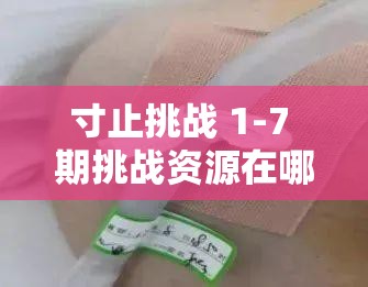 寸止挑战 1-7 期挑战资源在哪能找到？分享几个途径