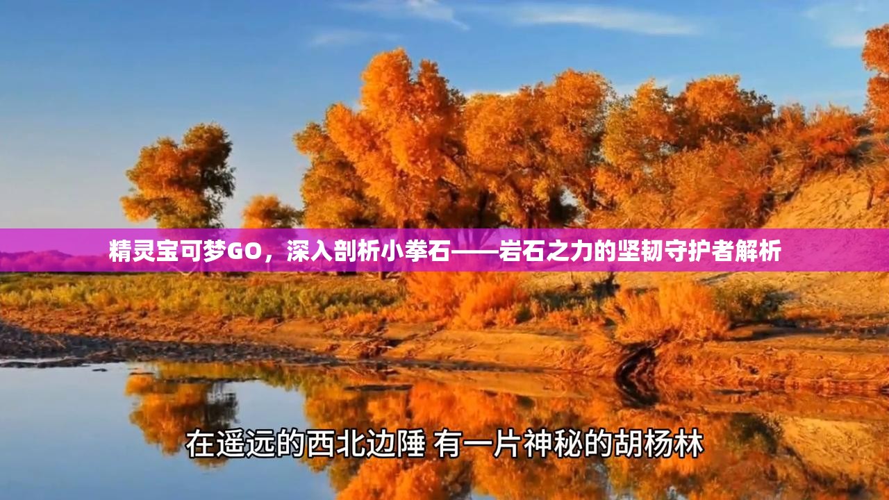 精灵宝可梦GO，深入剖析小拳石——岩石之力的坚韧守护者解析