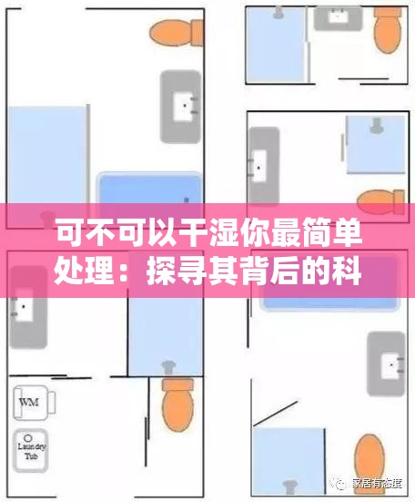 可不可以干湿你最简单处理：探寻其背后的科学原理和实际应用