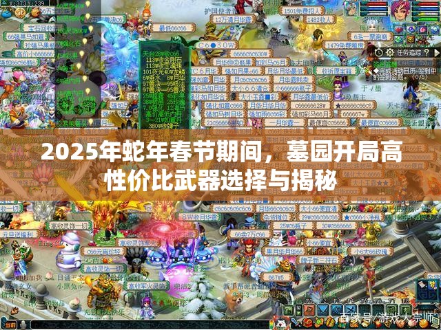 2025年蛇年春节期间，墓园开局高性价比武器选择与揭秘