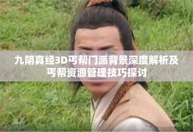 九阴真经3D丐帮门派背景深度解析及丐帮资源管理技巧探讨