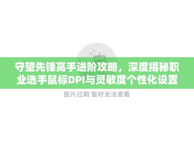 守望先锋高手进阶攻略，深度揭秘职业选手鼠标DPI与灵敏度个性化设置