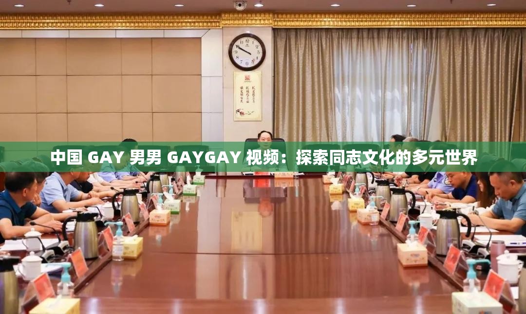 中国 GAY 男男 GAYGAY 视频：探索同志文化的多元世界